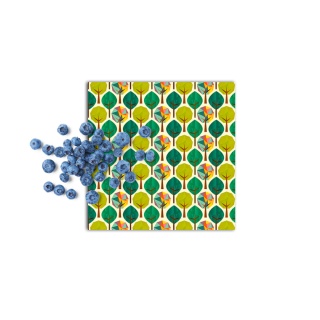 WOSKOWIJKA M (medium size) 25x25 cm