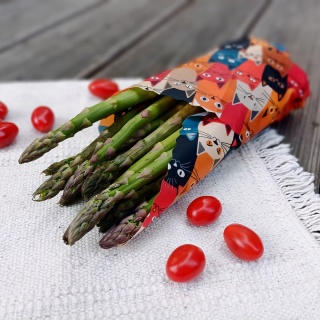 WOSKOWIJKA L (large size) KOTY 36x36 cm