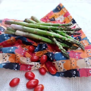 WOSKOWIJKA XL (extra large size) KOTY40x48 cm